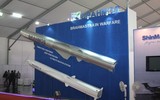 Ấn Độ 'xuất khẩu ngược' sang Nga phiên bản tên lửa BrahMos đặc biệt?