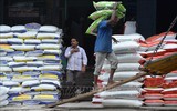 Ấn Độ mất vị thế lãnh đạo Nam bán cầu sau một quyết định vội vàng?