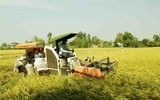Ấn Độ mất vị thế lãnh đạo Nam bán cầu sau một quyết định vội vàng?