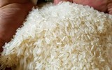 Ấn Độ mất vị thế lãnh đạo Nam bán cầu sau một quyết định vội vàng?
