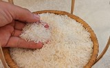 Ấn Độ mất vị thế lãnh đạo Nam bán cầu sau một quyết định vội vàng?