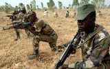 Khối ECOWAS chuẩn bị 25 nghìn binh sĩ sẵn sàng can thiệp vào Niger