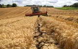 Ba Lan đối diện lệnh trừng phạt của EU vì 'gây khó' cho Ukraine trong vấn đề ngũ cốc
