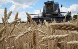 Ba Lan đối diện lệnh trừng phạt của EU vì 'gây khó' cho Ukraine trong vấn đề ngũ cốc