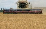 Ba Lan đối diện lệnh trừng phạt của EU vì 'gây khó' cho Ukraine trong vấn đề ngũ cốc