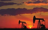 Giá dầu thế giới giảm mạnh bất chấp nỗ lực của Nga và Saudi Arabia