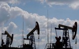Hãng tin Reuters: Nga - Ấn Độ không thống nhất được điều khoản thanh toán tiền mua bán dầu