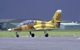Nga 'triệu hồi' máy bay huấn luyện MiG-AT từ những năm 2010 để thay thế L-39C cũ