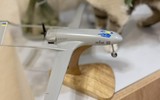 Vì sao UAV cảm tử Lyuty Ukraine dễ dàng lọt lưới phòng không dày đặc của Nga?