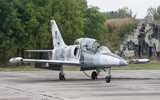 Cường kích L-39ZA mới nhận giúp ích gì cho Không quân Ukraine?