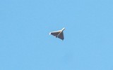Quân đội Romania được phép bắn hạ UAV ‘đi lạc’ và tiến hành 'hoạt động vũ lực' trong thời bình