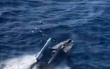Xuồng không người lái đa năng Magura V7 trang bị tên lửa AIM-9 tối tân nhất