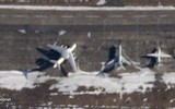 Tên lửa R-37M không thể bắn chính xác ở tầm xa khi thiếu máy bay A-50 AWACS?