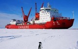 Mỹ báo động khi hàng loạt tàu phá băng Trung Quốc áp sát Alaska