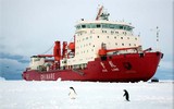 Mỹ báo động khi hàng loạt tàu phá băng Trung Quốc áp sát Alaska