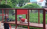 Học sinh, sinh viên với trải nghiệm thú vị tại triển lãm quốc tế phòng cháy, chữa cháy 