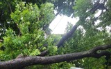 Người dân đi làm trong mưa ngập ở Hà Nội