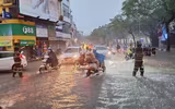 Những 'cọc tiêu' quả cảm giữa cơn mưa lớn trắng trời Hà Nội
