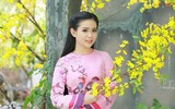 [ẢNH] Nhan sắc Jang Mi và những ca sĩ được mệnh danh ‘ngọc nữ’ Bolero