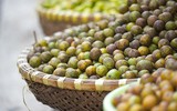 [ẢNH] Những món ngon nhất định phải thử khi Hà Nội vào thu 