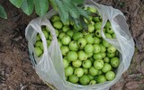 [ẢNH] Những món ngon nhất định phải thử khi Hà Nội vào thu 