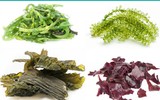 [ẢNH] 5 Bí quyết ăn chay giúp cơ thể khỏe mạnh