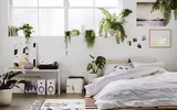 [ẢNH] Những loại cây xanh tuyệt vời nên trồng trong phòng ngủ
