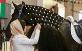 [ẢNH] Nhan sắc ‘đẹp từ trứng nước’ của công chúa Dubai Sheikha Maryam