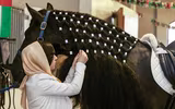 [ẢNH] Nhan sắc ‘đẹp từ trứng nước’ của công chúa Dubai Sheikha Maryam