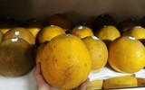 [ẢNH] Những mẹo bảo quản hoa quả tươi lâu không phải ai cũng biết