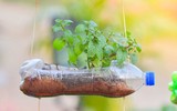 [ẢNH] Những ý tưởng sáng tạo đồ vật độc đáo cho ngôi nhà từ vật liệu tái chế