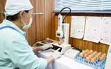 [ẢNH] Những món ăn tươi sống được yêu thích trên thế giới