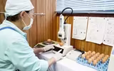 [ẢNH] Những món ăn tươi sống được yêu thích trên thế giới