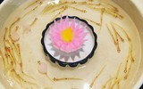 [ẢNH] Những món ăn tươi sống được yêu thích trên thế giới