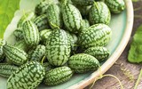 [ẢNH] Lạc vào thế giới tí hon với loạt rau củ quả có kích cỡ siêu nhỏ