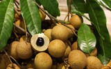 [ẢNH] Những loại trái cây mà người đang giảm cân nên tránh 