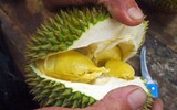 [ẢNH] Lạc vào thế giới tí hon với loạt rau củ quả có kích cỡ siêu nhỏ