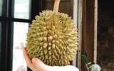 [ẢNH] Lạc vào thế giới tí hon với loạt rau củ quả có kích cỡ siêu nhỏ