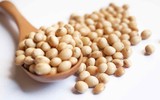 [ẢNH] Những thực phẩm 'nhất định phải ăn' khi mắc bệnh gout