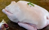 [ẢNH] Những sai lầm tai hại khi ăn thịt vịt nhiều người mắc phải