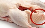 [ẢNH] Những sai lầm tai hại khi ăn thịt vịt nhiều người mắc phải