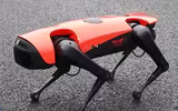 [ẢNH] Những robot động vật giúp cuộc sống của bạn trở nên dễ dàng hơn