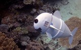 [ẢNH] Những robot động vật giúp cuộc sống của bạn trở nên dễ dàng hơn