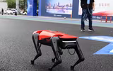 [ẢNH] Những robot động vật giúp cuộc sống của bạn trở nên dễ dàng hơn