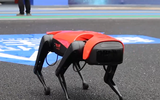 [ẢNH] Những robot động vật giúp cuộc sống của bạn trở nên dễ dàng hơn