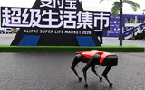 [ẢNH] Những robot động vật giúp cuộc sống của bạn trở nên dễ dàng hơn