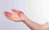 [Ảnh] Nhận diện những dấu hiệu tổn thương do kiến ba khoang và cách xử lý 