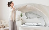 [Ảnh] Nhận diện những dấu hiệu tổn thương do kiến ba khoang và cách xử lý 