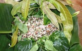 [ẢNH] 'Choáng' với những món ăn độc lạ từ loài kiến không phải ai cũng dám thử