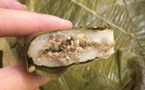 [ẢNH] 'Choáng' với những món ăn độc lạ từ loài kiến không phải ai cũng dám thử